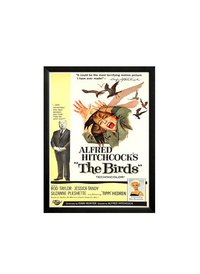 The Birds Retro Movie Poster Finest Quality Framing