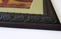 Stegosaurus Dinosaurs Framed Print Museum Mural