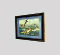 Dinosaurs Marine Reptiles Framed Print