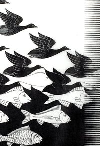 Escher Art Print Air and Water Finest Quality Framing