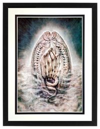 H.R. Giger Alien Egg  Framed Poster