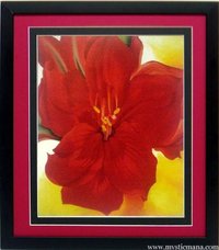 Red Flower Georgia O'keeffe Flower Art Framed Poster