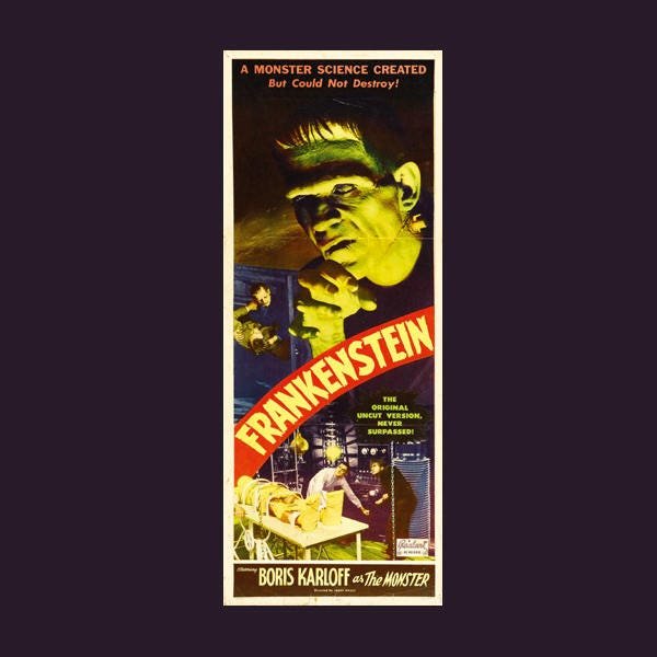 Frankenstein 1931 Theatrical Movie Poster Finest Quality Many Sizes Available