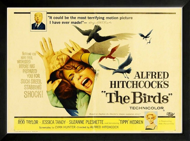 The Birds Poster Framed