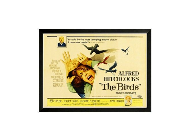 The Birds Poster Framed