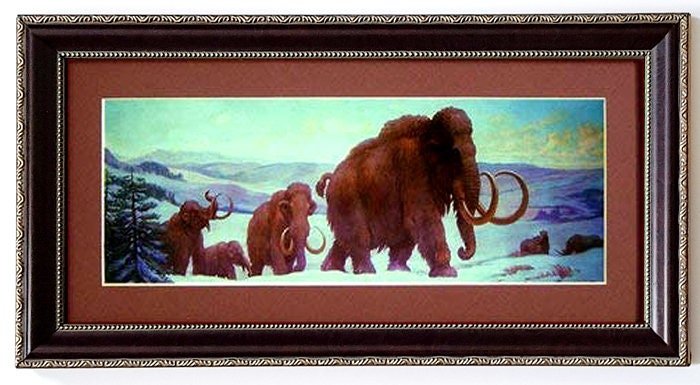 Woolly Mammoth Poster Print Framed Museum Quality