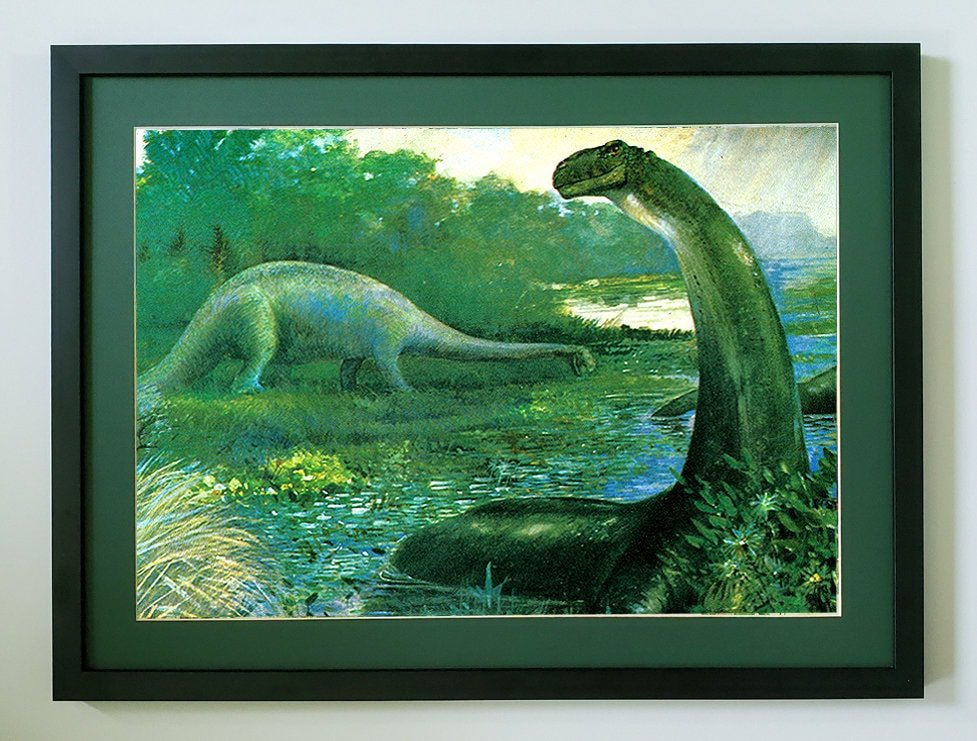 Apatosaurus, Dinosaur Poster Print Art by Charles R Knight. Many Framing Options
