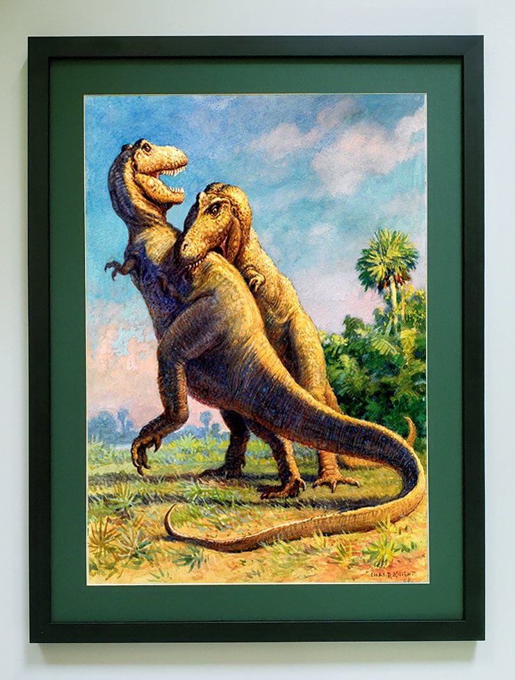 T-Rex Battle Dinosaur Poster Print Art by Charles R Knight. Many Framing Options